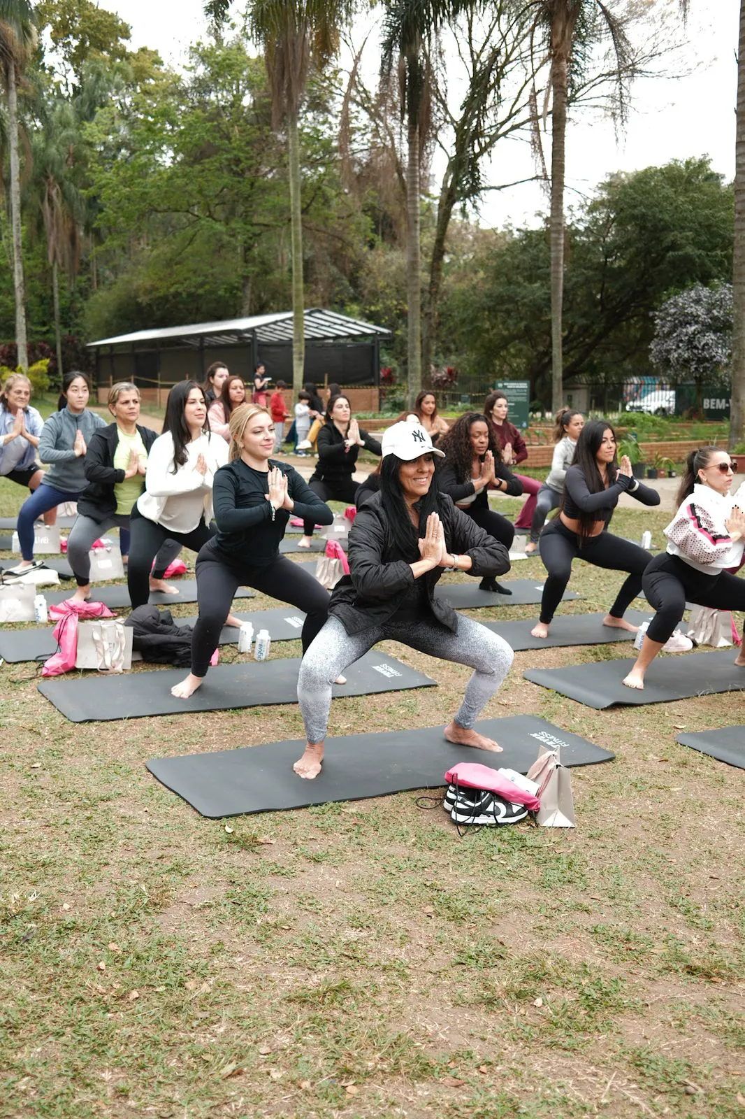 Grupo em prática de yoga sobre os tapetes, no parque